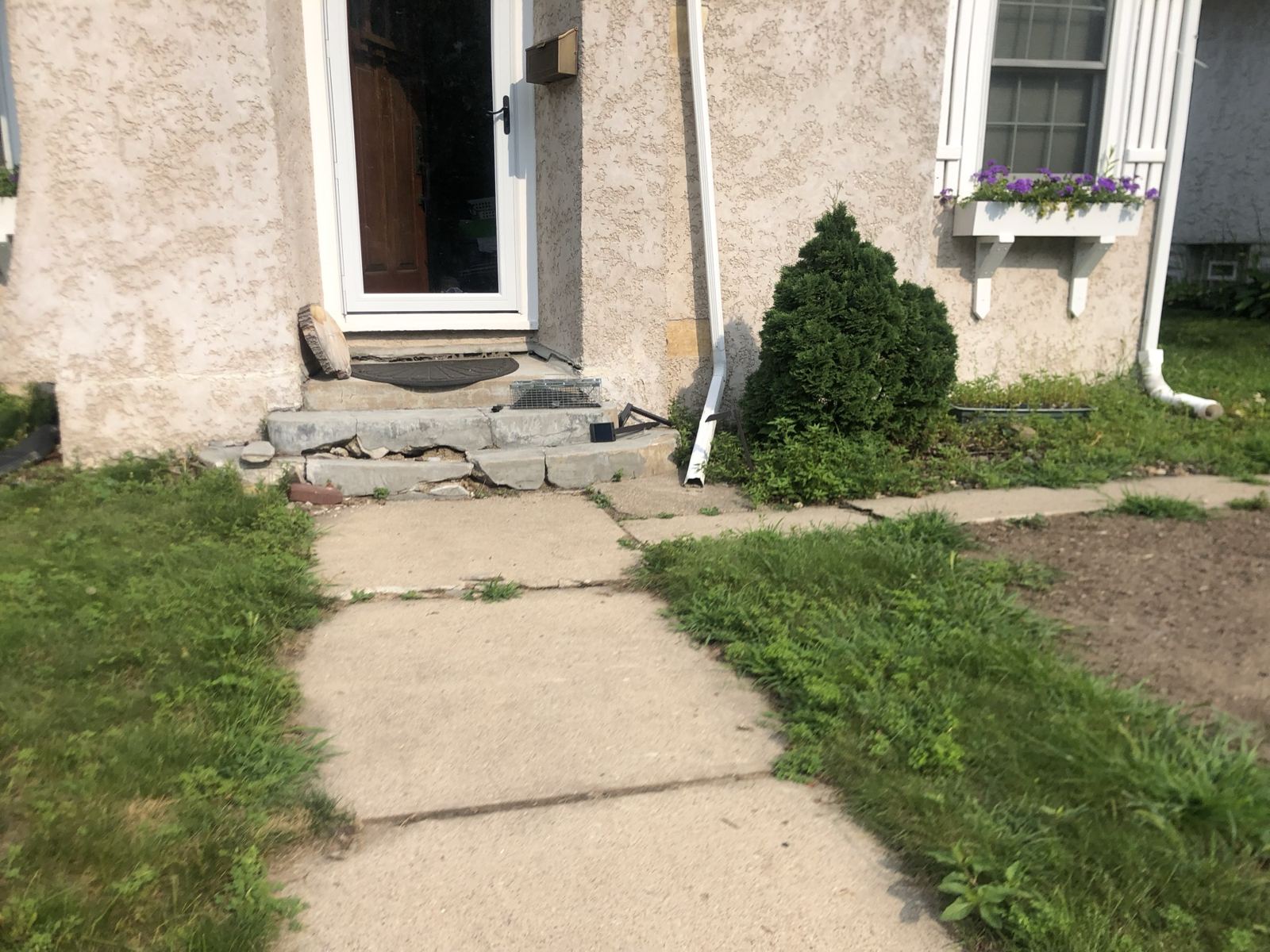 New Front Steps and Walk, before